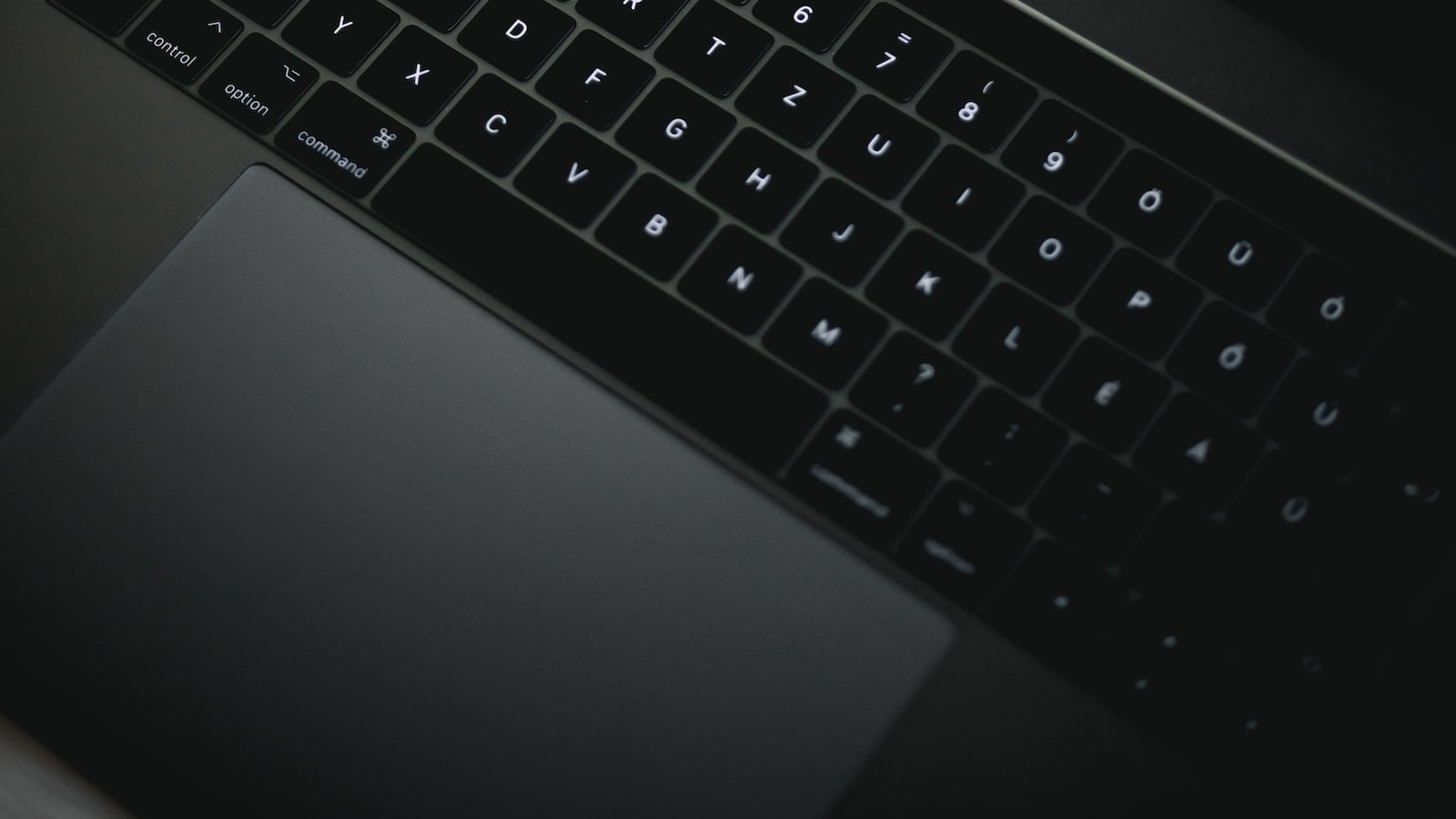 The Pros and Cons of Using Chemical Fertilizers in Your Garden Camoguys