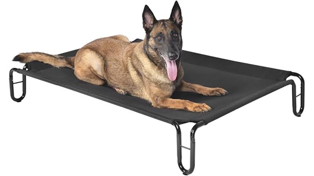 comfortable elevated dog bed