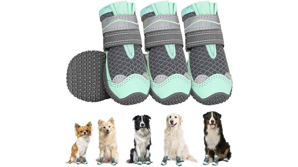 dog shoes for all sizes