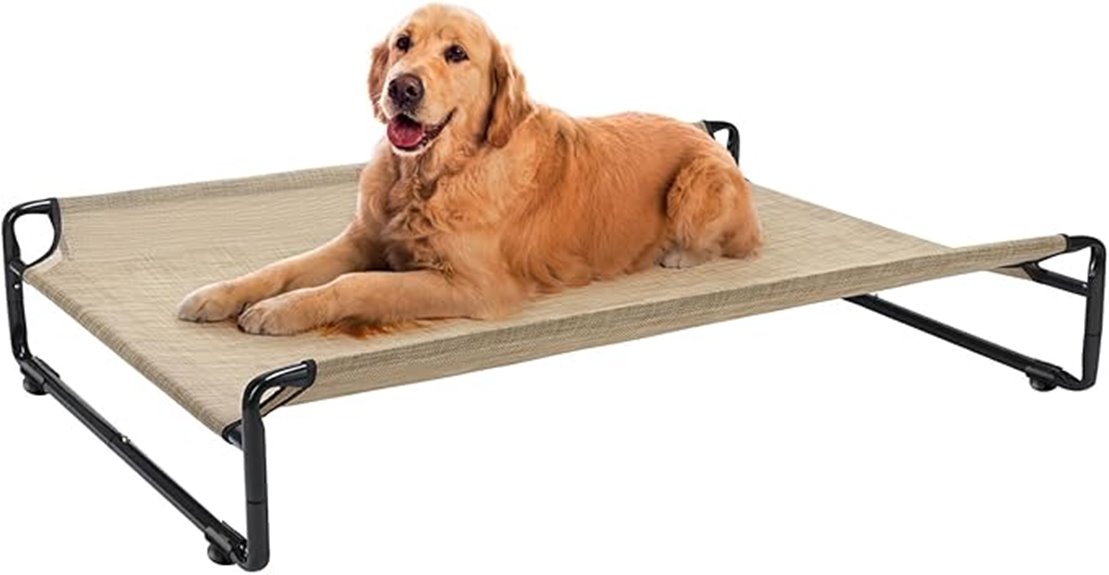elevated bed for dogs