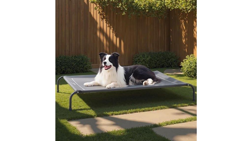 elevated bed for dogs