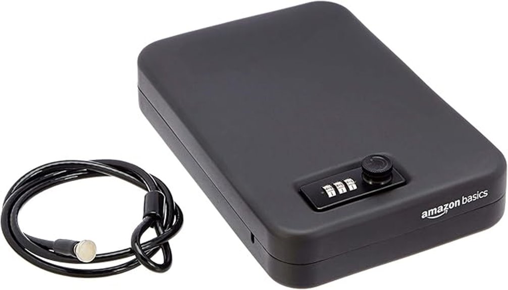 portable security lock box