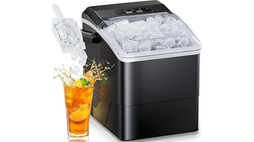 self cleaning ice maker