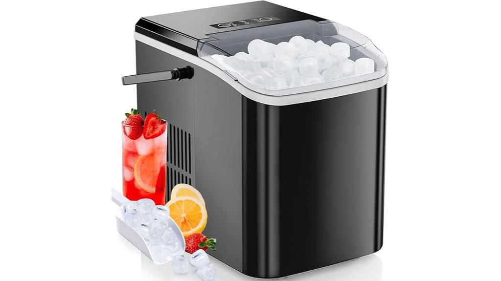 self cleaning ice maker