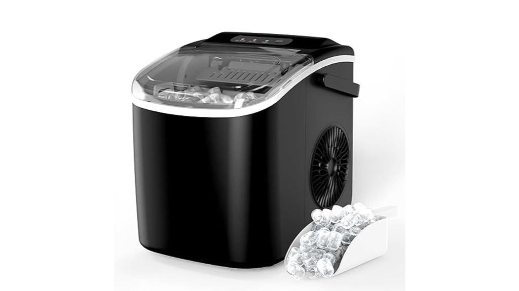 self cleaning ice maker