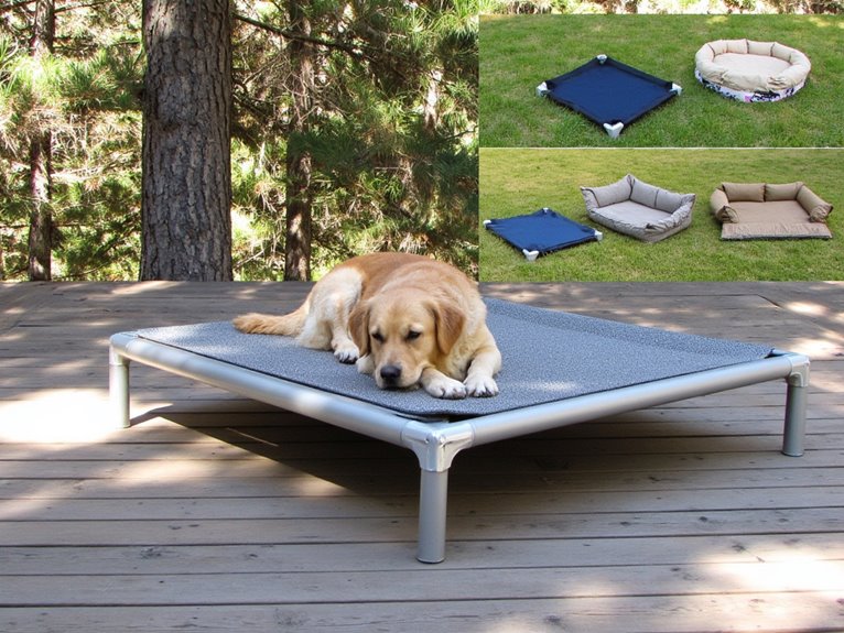 10 Best Outdoor Dog Beds That Can Handle Any Weather